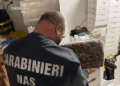 Molise, la spesa finisce sotto sigillo: sequestrati 49 quintali di alimenti “non conformi” e 4 chiusure in provincia di Isernia