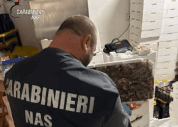 Molise, la spesa finisce sotto sigillo: sequestrati 49 quintali di alimenti “non conformi” e 4 chiusure in provincia di Isernia