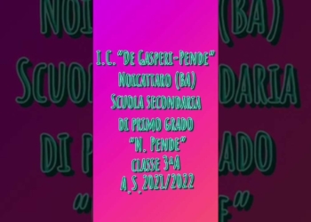 Non è amore, video e foto sui social per la Giornata Internazionale per l’eliminazione delle violenze contro le donne