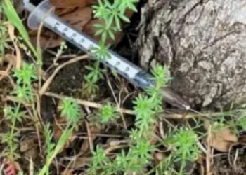 Schiaffi, calci e lancio di oggetti, polizia aggredita durante blitz anti droga e armi