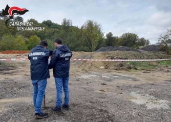 Rifiuti legnosi e pallets: il NOE scopre irregolarità in un impianto alle porte di Isernia