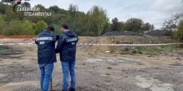 Rifiuti legnosi e pallets: il NOE scopre irregolarità in un impianto alle porte di Isernia