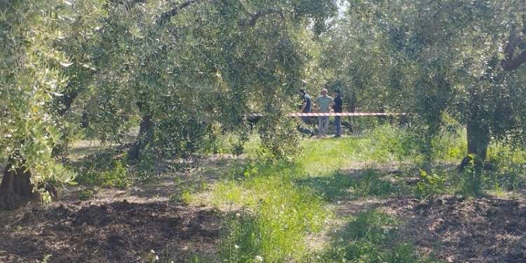 Aereo ultraleggero precipitato a Vasto, due feriti gravi