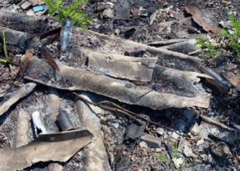 Amianto, il picco di malati e morti è in corso?