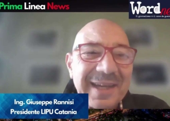 Orti della Susanna, qualcosa sembra muoversi a Catania