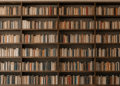 Lettura e biblioteche in Italia: i dati Istat 2024-2025