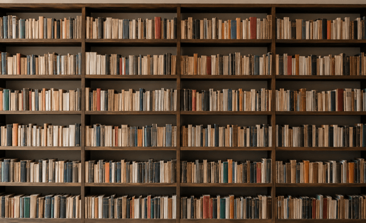 Lettura e biblioteche in Italia: i dati Istat 2024-2025