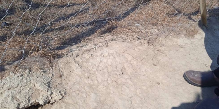 Nuovo canile: reti inadeguate e pareti deteriorate; quando ultime autorizzazioni e collaudo?