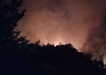 «Piromane si diverte ad appiccare fuoco, senza intervento tempestivo sarebbe andato a fuoco il paese»