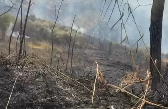 Incendi, situazione drammatica dal vastese al Morrone