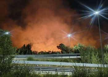 A Dogliola incendi dolosi da cinque mesi, trovati cinque inneschi dell’ultimo rogo