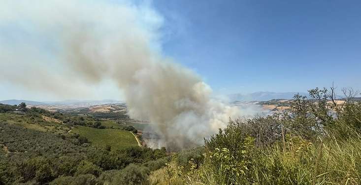 A Dogliola incendi dolosi da cinque mesi, trovati cinque inneschi dell’ultimo rogo