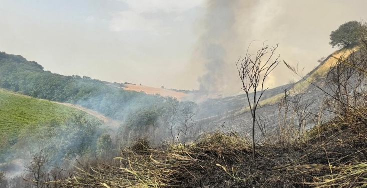 A Fresagrandinaria fiamme lambiscono abitazioni, a Furci collina devastata
