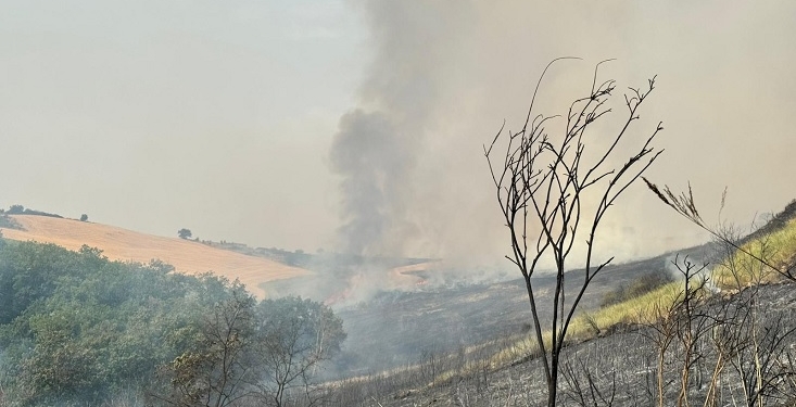 A Fresagrandinaria fiamme lambiscono abitazioni, a Furci collina devastata