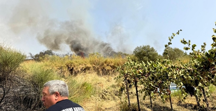 A Fresagrandinaria fiamme lambiscono abitazioni, a Furci collina devastata