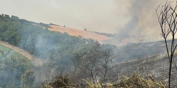 A Fresagrandinaria fiamme lambiscono abitazioni, a Furci collina devastata