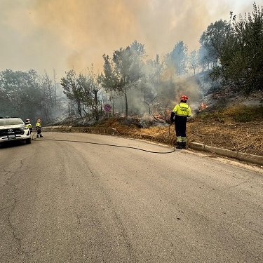 Incendi, a chi interessa mettere fuoco? Chi c’è dietro gli attacchi violenti al territorio?