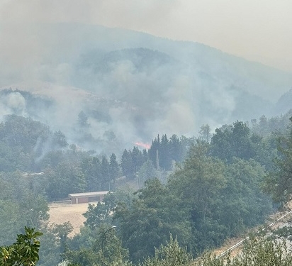 Incendi, a chi interessa mettere fuoco? Chi c’è dietro gli attacchi violenti al territorio?