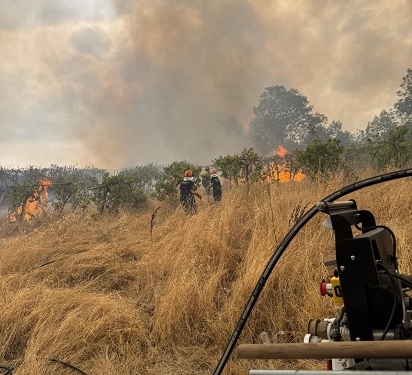 Incendi, a chi interessa mettere fuoco? Chi c’è dietro gli attacchi violenti al territorio?