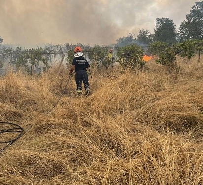 Incendi, a chi interessa mettere fuoco? Chi c’è dietro gli attacchi violenti al territorio?