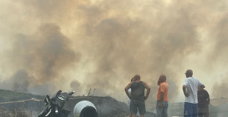 Incendi, a chi interessa mettere fuoco? Chi c’è dietro gli attacchi violenti al territorio?
