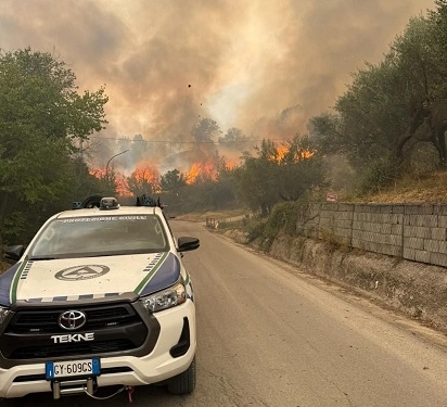 Incendi, a chi interessa mettere fuoco? Chi c’è dietro gli attacchi violenti al territorio?