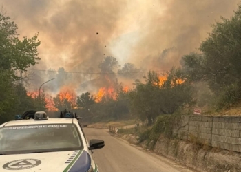 Incendi, a chi interessa mettere fuoco? Chi c’è dietro gli attacchi violenti al territorio?
