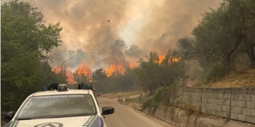 Incendi, a chi interessa mettere fuoco? Chi c’è dietro gli attacchi violenti al territorio?