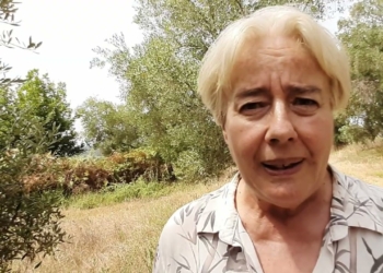 «La Calabria che abbraccia, non quella che brucia»: Patrizia Rodi Morabito non abbandona la sua terra