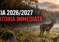 Caccia 2026/2027, le associazioni chiedono una moratoria immediata in sei Regioni