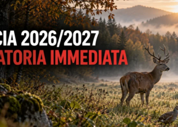 Caccia 2026/2027, le associazioni chiedono una moratoria immediata in sei Regioni