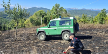 Roccasicura, incendio boschivo: denunciato il presunto responsabile