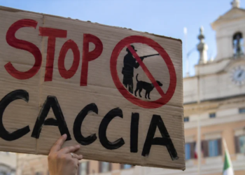 “Nessun Bersaglio” torna in piazza per fermare il DDL Caccia: assemblea nazionale il 21 ottobre