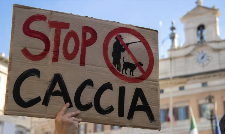 “Nessun Bersaglio” torna in piazza per fermare il DDL Caccia: assemblea nazionale il 21 ottobre