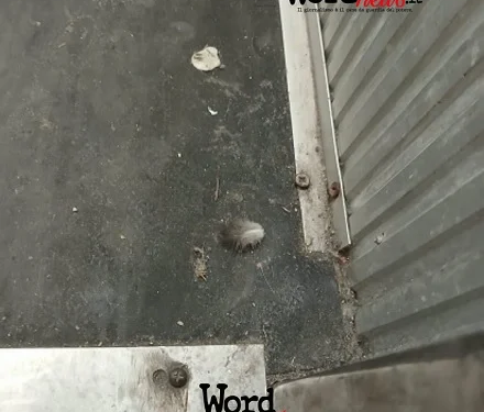 Distribuzione farmaci: per la Procura è stata violata Costituzione, provvedimenti ancora in vigore verranno modificati?